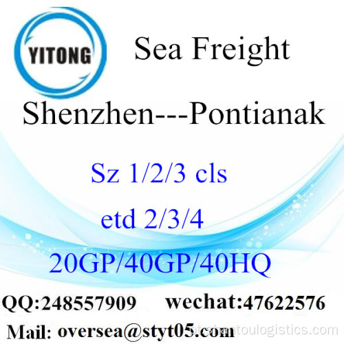 Mar de Porto de Shenzhen transporte de mercadorias para Pontianak